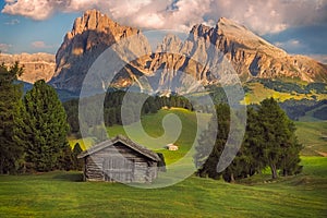 Seiser Alm with Langkofel group, South Tyrol, Dolomites, Italy