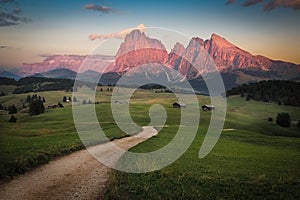 Seiser Alm with Langkofel Group after sunset, South Tyrol, Italy