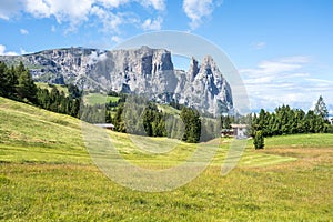 Seiser Alm with Sciliar (Schlern), South Tyrol, Italy