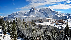 Seiser Alm in winter photo