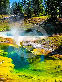 Seismograph Pool in Yellowstone