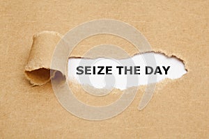 Seize The Day