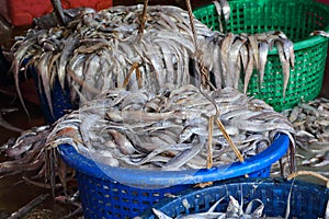 Sekinchan Fish Village