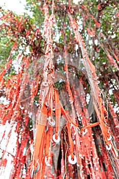 Sekinchan wishing or hope tree in Pantai Redang is popular tourist destination