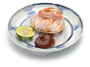 Seko gani, steamed female snow crab, japanese food