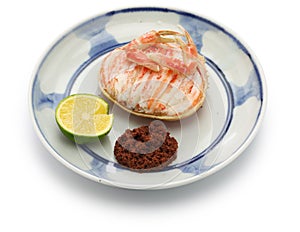 Seko gani, steamed female snow crab, japanese food