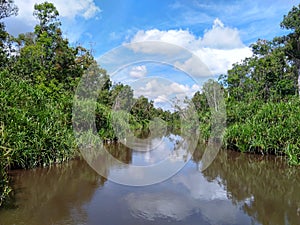 Sekonyer River of Tanjung Puting Tourism Place