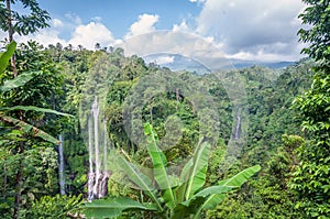 Sekumpul Waterfall, Buleleng-Bali