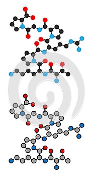 Selank nootropic and anxiolytic peptide drug molecule