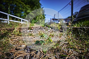 Seldom used, weathered railway line that is gradually overgrown by plants