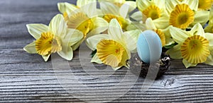 Select focus of a standing egg in nest with spring daffodil and rustic wood in background