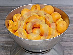 Selected apricots are halved and pips removed and prepared for weighing