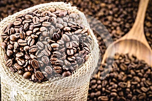 Selected arabica coffee beans, high quality coffee for export, made in brazil, space for text