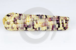 Selected focus of a single yellow and purple boiled corn