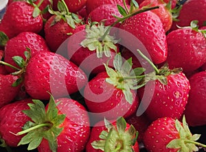 Selected strawberries in close-up in daylight. Extra variety.