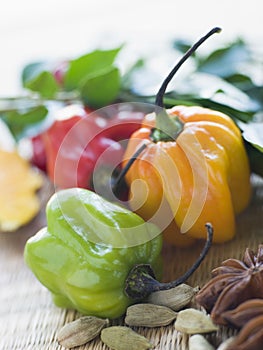 Selection of Asian Spices