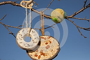 Selection of bird food