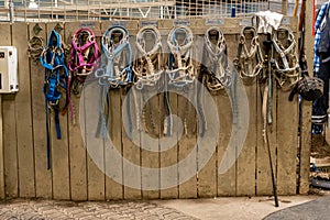 Selection of Bridles on Wall