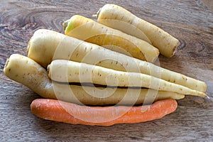 A selection of carrot cultivars