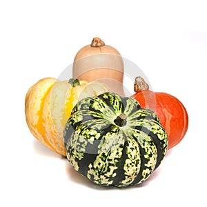 Selection of deorative gourds or squashes