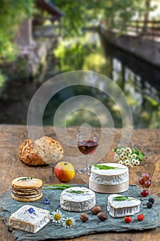 Selection of different types of cheese. Tasty and fresh cheese, with glass of wine, over a river background