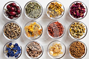 Selection of dried herbs on a white background, top view