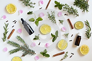 Selection of essential oils and herbs on a white background