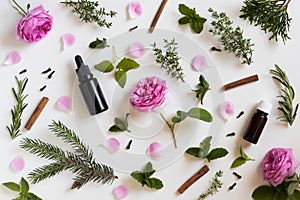 Selection of essential oils and herbs on a white background