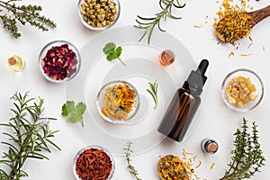 Selection of essential oils and herbs on a white background, top