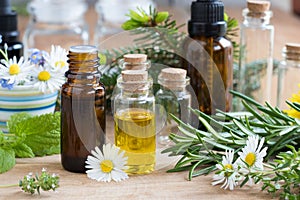 Selection of essential oils and herbs on a wooden background