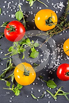 Selection of farm fresh tomatoes with herbs and sea salt from ab