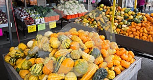 A selection of gourdes, squash, and pumpkins at an Amish Market