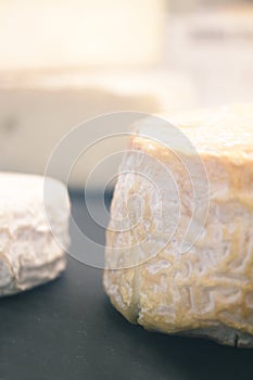 Selection of gourmet cheeses