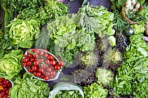 Selection of green and fresh vegetables from a farmer`s market