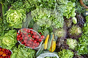 Selection of green and fresh vegetables from a farmer`s market