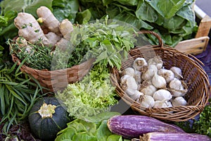 Selection of green and fresh vegetables from a farmer`s market