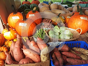 A selection of harvest fruits and vegetables for sale at a farmer`s market.