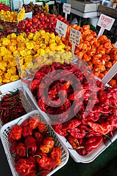 Selection of Hot Peppers for Sale at a Farmers Market