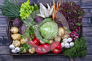 Selection includes carrot, potato, cucumber, tomato, cabbage, lettuce, beetroot, onion, garlic, radish, dill and parsley