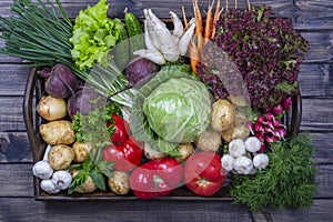 Selection includes carrot, potato, cucumber, tomato, cabbage, lettuce, beetroot, onion, garlic, radish, dill and parsley