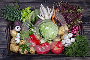 Selection includes carrot, potato, cucumber, tomato, cabbage, lettuce, beetroot, onion, garlic, radish, dill and parsley