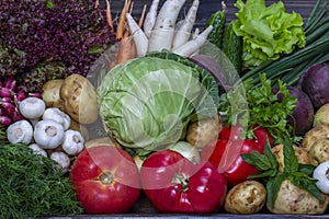 Selection includes carrot, potato, cucumber, tomato, cabbage, lettuce, beetroot, onion, garlic, radish, dill and parsley