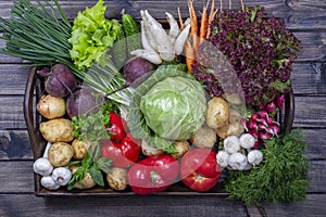 Selection includes carrot, potato, cucumber, tomato, cabbage, lettuce, beetroot, onion, garlic, radish, dill and parsley