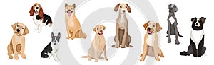 A selection of nine realistic dogs of different breeds on a white background - Vector