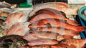 Selection of red fishes at Endeqal Seafood, Balabag, Boracay, Philippines