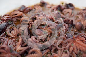 Selection of small octopus for italian anti pasti photo