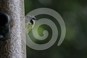 Elección de sobre el naturaleza reservar 