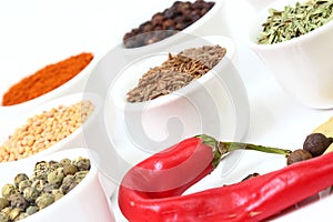 Selection of spices on white bowls