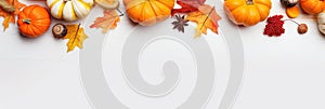 Selection of various pumpkins on white background. Autumn vegetables and seasonal decorations