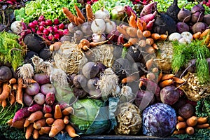 Selection of vegetables from a farmer's market